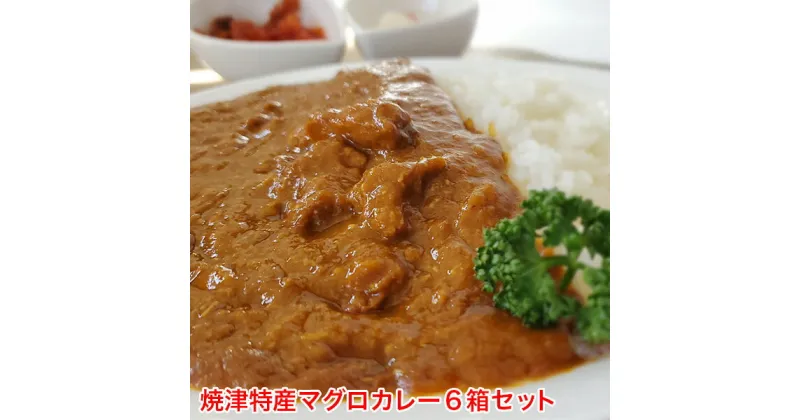 【ふるさと納税】 まぐろ カレー レトルト アウトドア キャンプ 6箱セット 純和風カレー 200g×6個 魚 焼津 a10-578