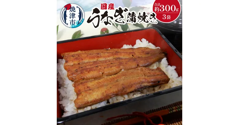 【ふるさと納税】 うなぎ 鰻 蒲焼 魚 冷凍 焼津 国産 うなぎ蒲焼き 約100g×3袋 たれ・山椒付き a18-029