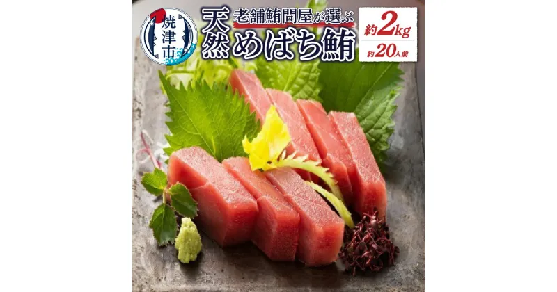 【ふるさと納税】 まぐろ 天然 めばち鮪 赤身 約2kg 冷凍 約20人前 旨味 甘味 魚 a20-315