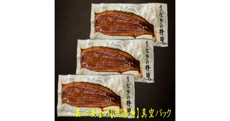 【ふるさと納税】 鰻 魚 冷凍 焼津 無添加 真空パック 静岡県産 うなぎ 長焼き 140g 3尾 タレ・山椒付 a22-014