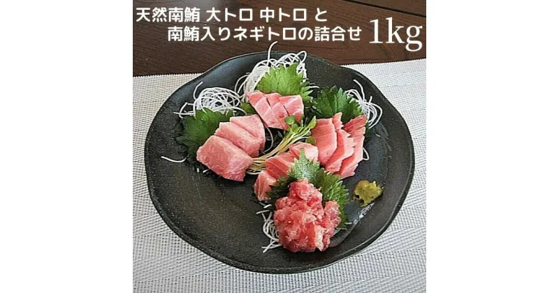 【ふるさと納税】 ネギトロ 大トロ 中トロ ネギトロ まぐろ 刺身 寿司 軍艦巻き 海鮮丼 天然 南鮪 詰合せ約1kg 魚 焼津 a25-026