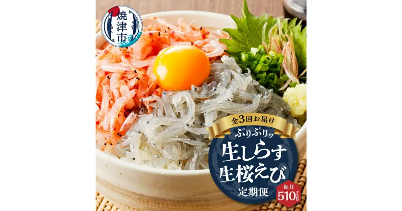 【ふるさと納税】 定期便 3回 しらす 生しらす 100g×3個 生 桜えび 70g×3個 天然 魚 冷凍 焼津 a30-221