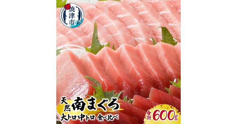 【ふるさと納税】 まぐろ 大トロ 中トロ 厳選 南マグロ 食べ比べ セット 冷凍 魚 焼津 計600g a30-223