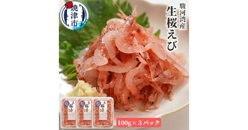 【ふるさと納税】 生桜えび 桜えび 天然 生食 100g×3 焼津特選 冷凍 魚介 焼津 a10-679