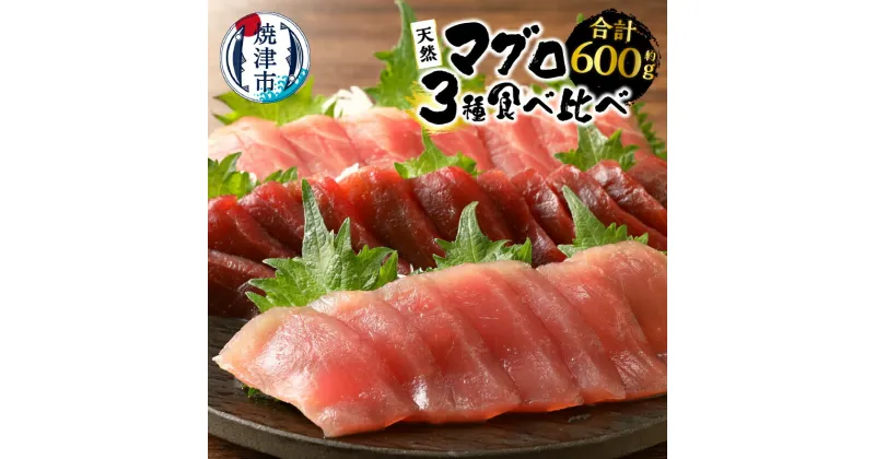 【ふるさと納税】 まぐろ 冷凍 魚 焼津 赤身 3種 天然 南鮪 鉢鮪 黄肌鮪 食べ比べセット 計約600g 刺身に 寿司に 丼に a22-034