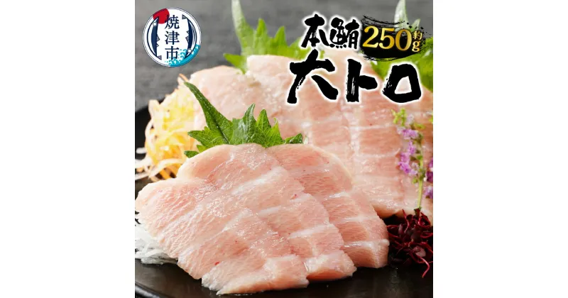 【ふるさと納税】 まぐろ 冷凍 魚 焼津 大トロ 本マグロ 柵 約250g 刺身に 寿司に 海鮮丼に a20-373