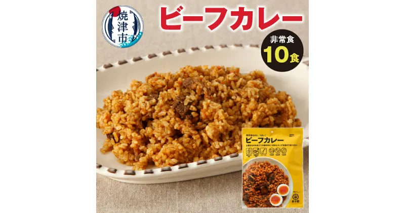 【ふるさと納税】 アウトドア キャンプ 非常食 米 アルファ化米 保存食 ビーフカレー 10食 スプーン付 備蓄 レジャー a20-331