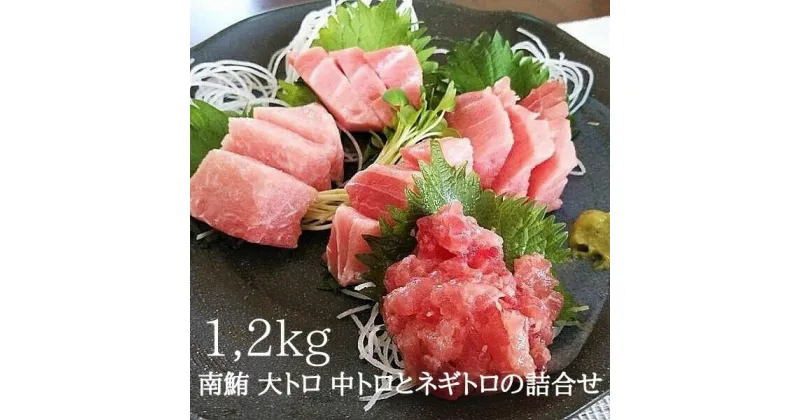 【ふるさと納税】 まぐろ 大トロ 中トロ ネギトロ 赤身 海鮮丼 寿司 刺身 天然南鮪の詰合せ 約1.2kg 魚 焼津 a30-228