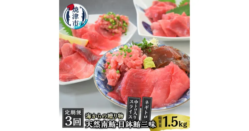 【ふるさと納税】 定期便 まぐろ ネギトロ 中トロ 冷凍 魚 焼津 海からの贈り物 天然 鮪 三昧 南鮪 目鉢鮪 3回 お届け 【定期便 3回】 a30-232