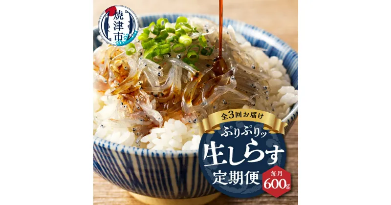 【ふるさと納税】 定期便 しらす 生しらす 魚 冷凍 焼津 天然 生しらす 100g×6個 お届け 3回 【定期便 3回】 a30-234