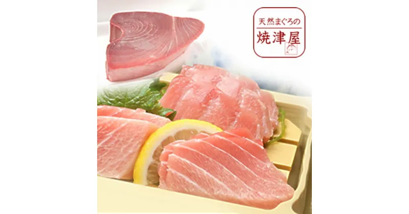 【ふるさと納税】 定期便 まぐろ 魚 冷凍 焼津 大トロ 中トロ ブロック 計800g 【定期便3回】 南鮪 ミナミマグロ b15-026