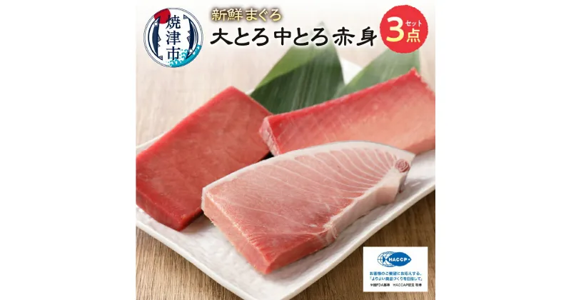 【ふるさと納税】 まぐろ 大トロ 中トロ 鮪 赤身 寿司 海鮮丼 刺身 セット 計650g S7 魚 焼津 a31-006