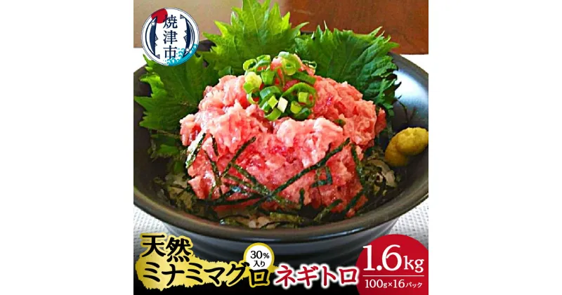 【ふるさと納税】 ネギトロ まぐろ 天然 ミナミ マグロ 30％入り 小分け 100g×16パック 計1.6kg 魚 焼津 a15-514