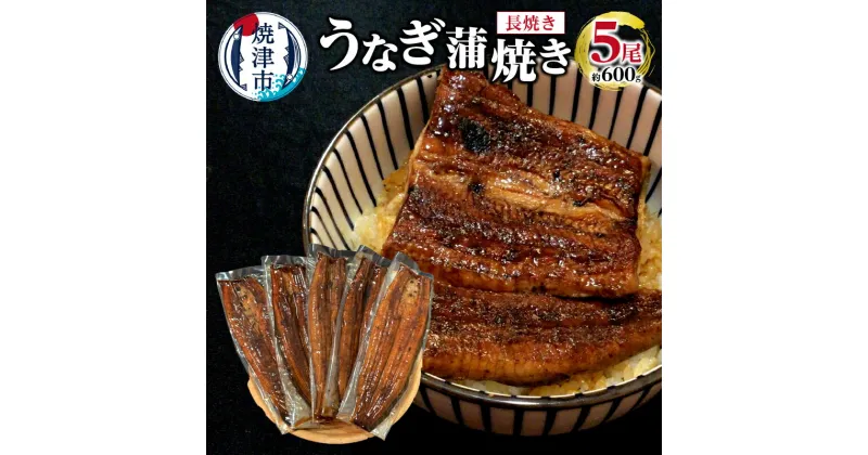 【ふるさと納税】 うなぎ 鰻 魚 蒲焼き 長焼き 5尾 約 600g 焼津 a38-006