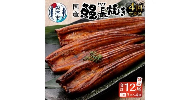 【ふるさと納税】 定期便 鰻 長焼き 冷凍 魚 焼津 【定期便 4回】 鰻 長焼き 特大 3尾 たれ付き 真空パック b10-058