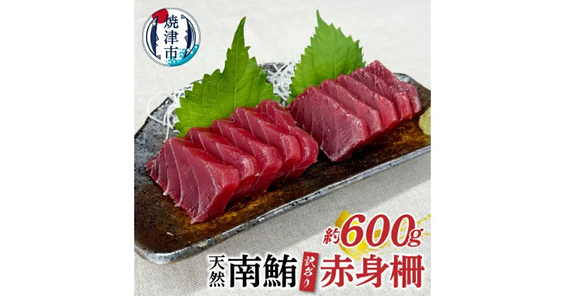 【ふるさと納税】 訳あり まぐろ 天然 南鮪 赤身 約600g 不定型柵 魚 冷凍 焼津 a10-858