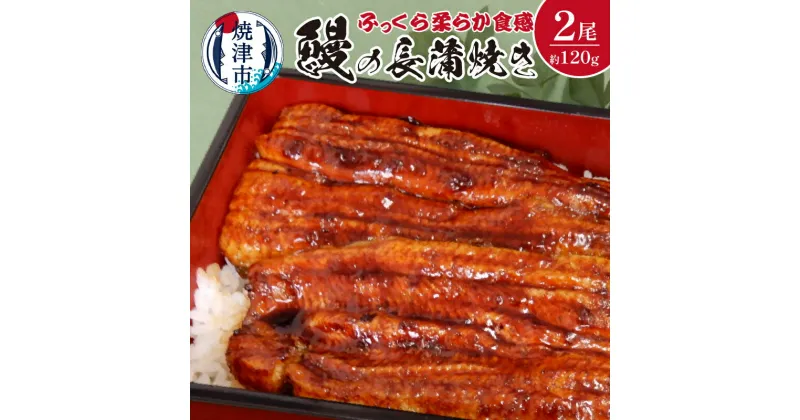 【ふるさと納税】 うなぎ 長蒲焼き 蒲焼 魚 焼津 養殖 約120g×2尾 たれ・山椒付き a19-013