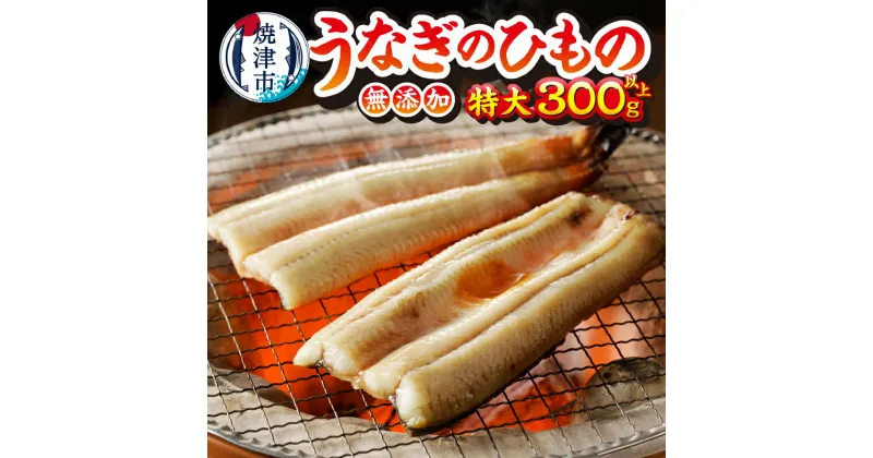 【ふるさと納税】 うなぎ 干物 ひもの 魚 冷凍 焼津 特大 1枚 塩糀 真空包装 300g以上 a10-894