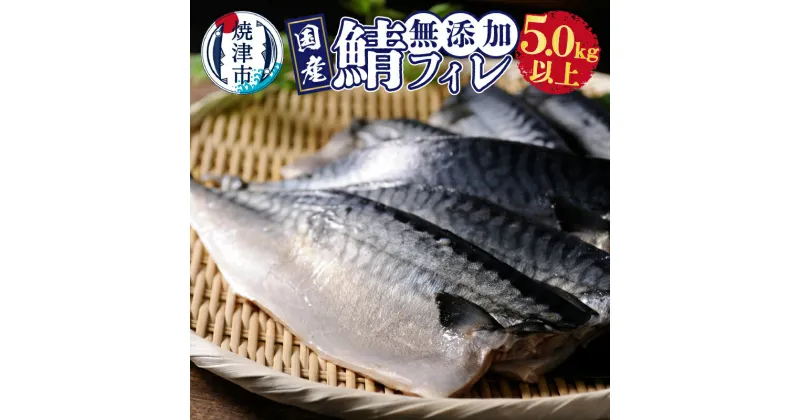 【ふるさと納税】 さば 鯖 フィレ 国内産 熟成 無添加 天然 魚 焼津 無塩 5.0kg以上 a24-033