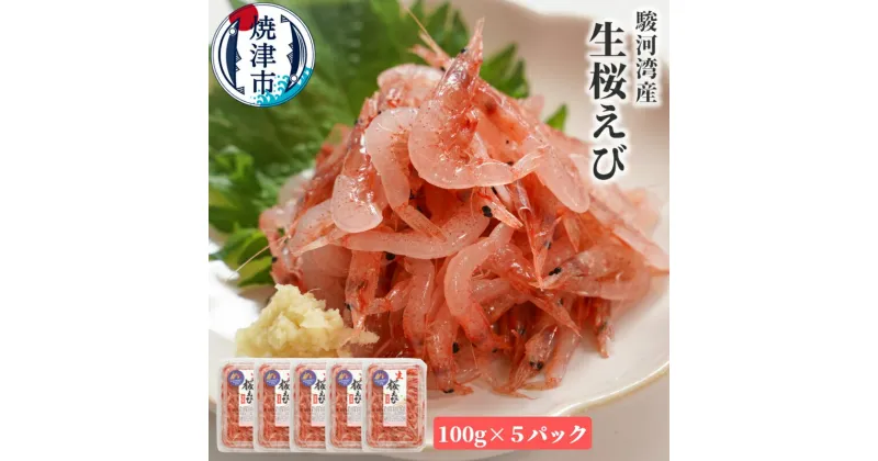 【ふるさと納税】 生桜えび 桜えび 天然 生食 100g×5 駿河湾産 焼津特選 冷凍 魚介 焼津 a15-562