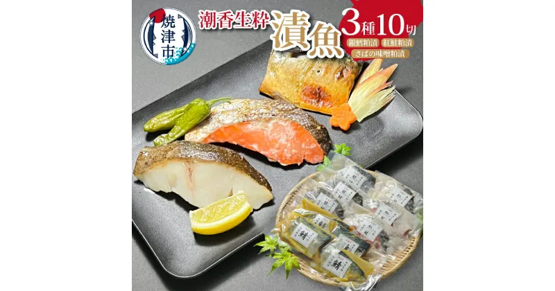 【ふるさと納税】 漬魚 銀鱈 紅鮭 鯖 詰合せ 魚 冷凍 粕漬 味噌粕漬 酒肴 天然 個包装 焼津 計10切 a15-566