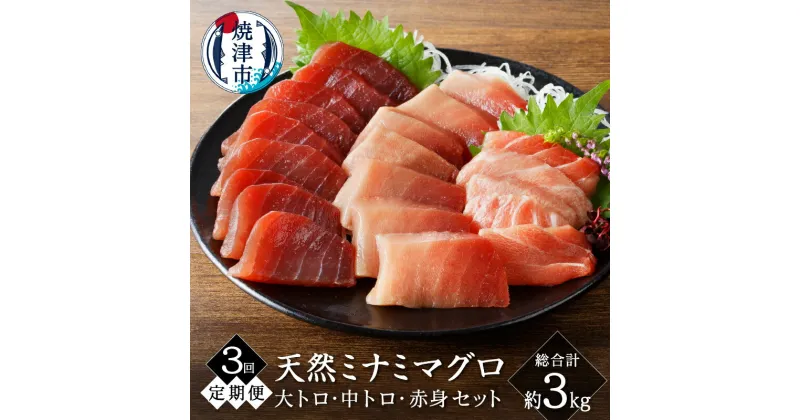 【ふるさと納税】 定期便 3回 まぐろ 天然 南鮪 大トロ 中トロ 赤身 食べ比べ 約1kg セット 皮無し 柵 切り落とし 魚 焼津 b10-066