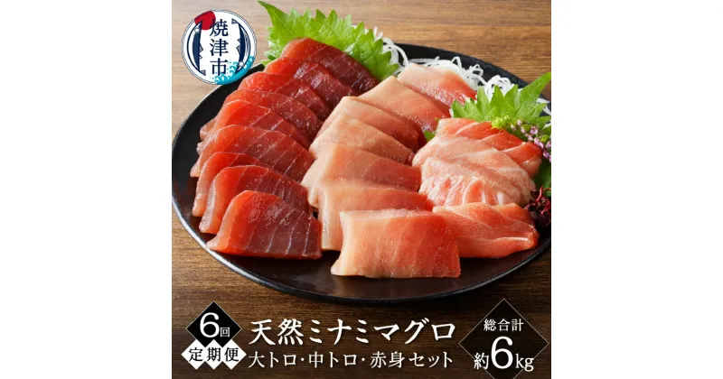 【ふるさと納税】 定期便 6回 まぐろ 天然 南鮪 大トロ 中トロ 赤身 食べ比べ セット 皮無し 柵 切り落とし 魚 焼津 b20-035