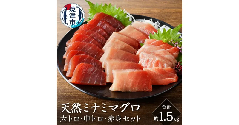 【ふるさと納税】 まぐろ 天然 南鮪 大トロ 中トロ 赤身 食べ比べ 約1.5kg セット 皮無し 柵 切り落とし 魚 焼津 a50-129