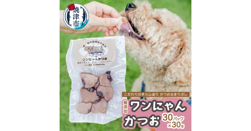 【ふるさと納税】 ペットフード ワンにゃんかつお 天然 かつお 無添加 30g×30パック なまりぶし 国産 ウェットタイプ 高タンパク 低カロリー 常温保存 焼津 a33-016