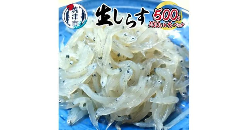 【ふるさと納税】 生しらす 100g×5パック 駿河湾 魚 天然 冷凍 焼津 a10-985