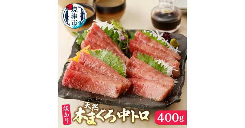 【ふるさと納税】 訳あり まぐろ 天然 本まぐろ 中トロ 約400g 柵 魚 冷凍 焼津 a10-1016