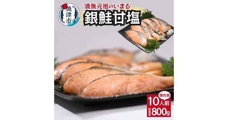 【ふるさと納税】 鮭 銀鮭 切り身 魚 冷凍 焼津 甘塩 80g×10パック 個包装 真空パック a10-1008