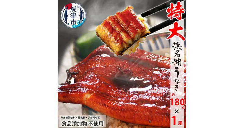 【ふるさと納税】 うなぎ 蒲焼 特大 食品添加物不使用 浜名湖産 約180g×1尾 山椒・タレ付 化粧箱入 焼津 a10-1044