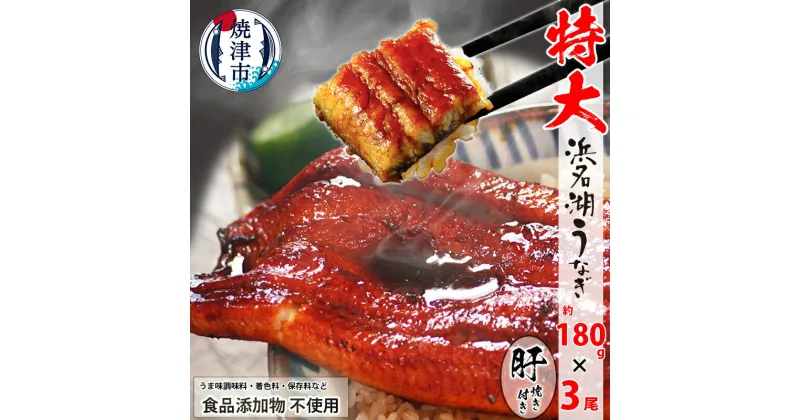 【ふるさと納税】 うなぎ 蒲焼 特大 食品添加物不使用 浜名湖産 約180g×3尾 肝焼 約50g×1 タレ 山椒付 化粧箱入 焼津 a30-283