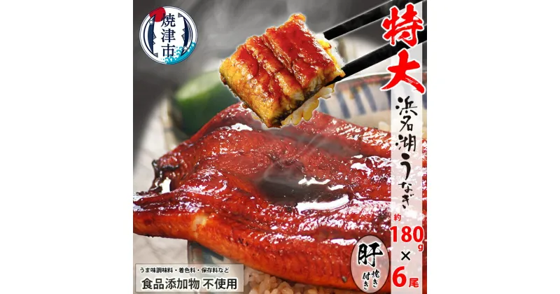 【ふるさと納税】 うなぎ 蒲焼 特大 食品添加物不使用 浜名湖産 約180g×6尾 肝焼 約50g×2 タレ 山椒付 化粧箱入 焼津 a60-022