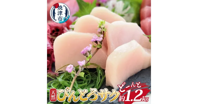 【ふるさと納税】 まぐろ びんとろ 天然 柵 ビンチョウ 約1.2kg 業務用 魚 冷凍 焼津 a10-1048