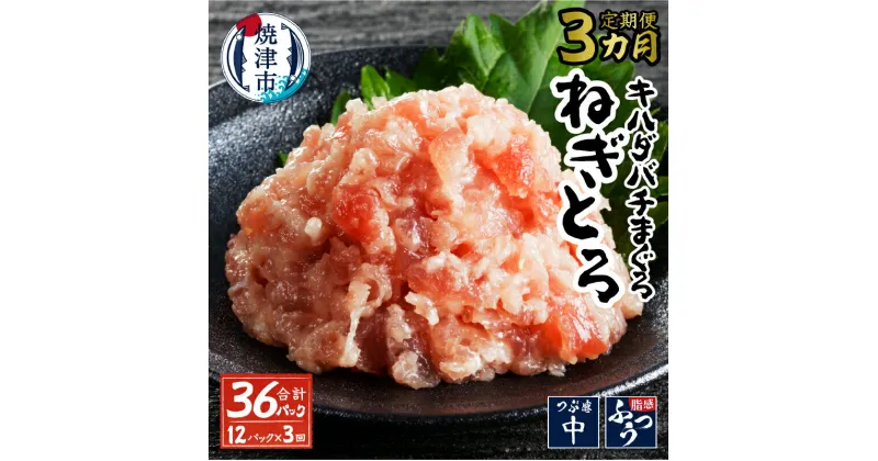 【ふるさと納税】 ネギトロ まぐろ 天然鮪 冷凍 キハダマグロ メバチマグロ 80g×12パック 定期便 3回 焼津 a30-287