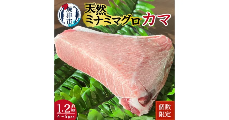 【ふるさと納税】 まぐろ 鮪 天然 ミナミマグロ カマ 希少部位 カマトロ 約1.2kg 個数限定 焼津 a12-196