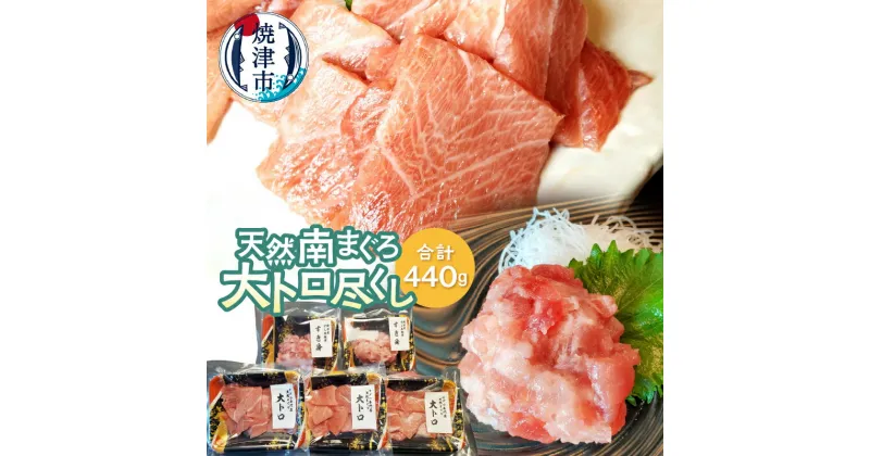 【ふるさと納税】 まぐろ 天然 南まぐろ 刺身 大トロ スライス すき身 トロびんちょうまぐろ バチまぐろ a21-062