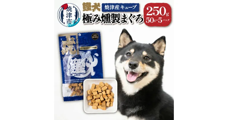 【ふるさと納税】 ドッグフード ペットフード 無添加 犬用 おやつ 鰹犬 焼津産 まぐろ キューブ 50g×5袋 焼津 a10-1094