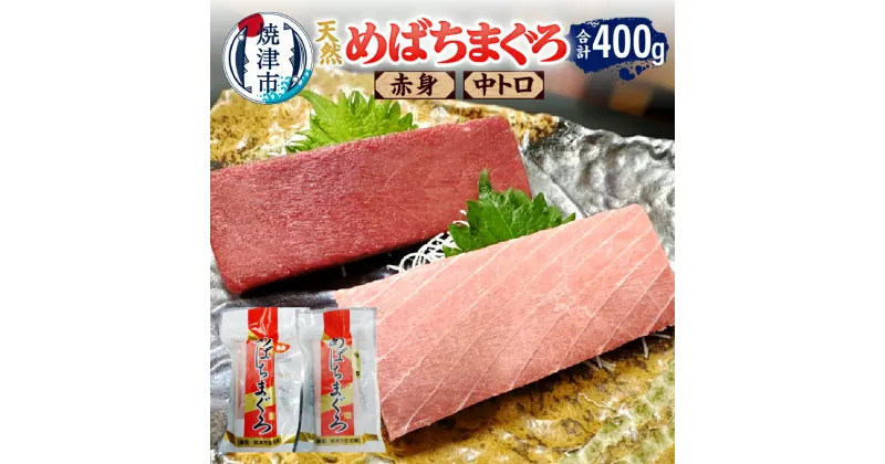 【ふるさと納税】 まぐろ めばちまぐろ 中トロ 赤身 脂身 食べ比べ 計400g セット 天然 柵 魚 焼津 a14-070