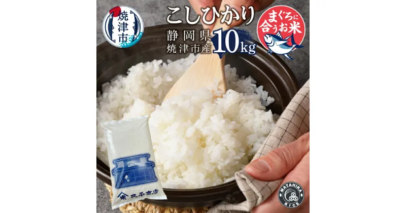 【ふるさと納税】 米 白米 コシヒカリ 10kg (5kg×2袋) 老舗米屋 マグロに合う ごはん 焼津 a25-049