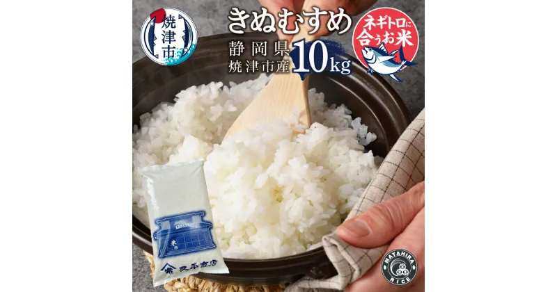 【ふるさと納税】 米 白米 きぬむすめ 10kg (5kg×2袋) 老舗米屋 ネギトロに合う ごはん 焼津 a25-051