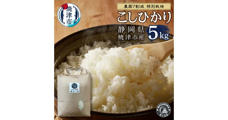 【ふるさと納税】 米 白米 コシヒカリ 5kg 農薬7割減 特別栽培 安心 安全 ごはん 焼津 a18-070