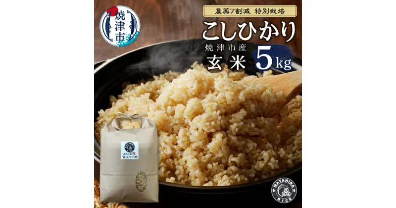 【ふるさと納税】 米 玄米 コシヒカリ 5kg 農薬7割減 特別栽培 安心 安全 ごはん 焼津 a18-071