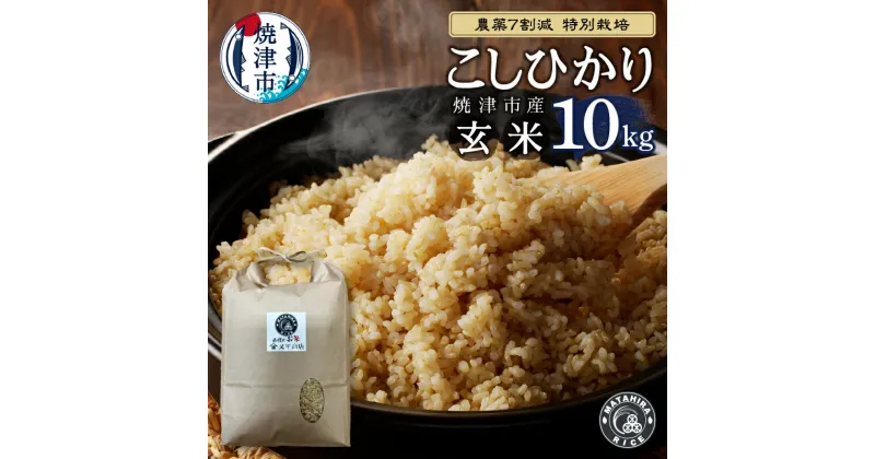 【ふるさと納税】 米 玄米 コシヒカリ 10kg (5kg×2袋) 農薬7割減 特別栽培 安心 安全 ごはん 焼津 a33-020