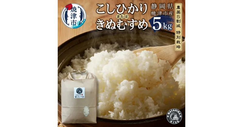 【ふるさと納税】 米 白米 コシヒカリ/きぬむすめ 5kg 農薬5割減 特別栽培 安心 安全 こだわり 減農薬 ごはん 焼津 a16-130