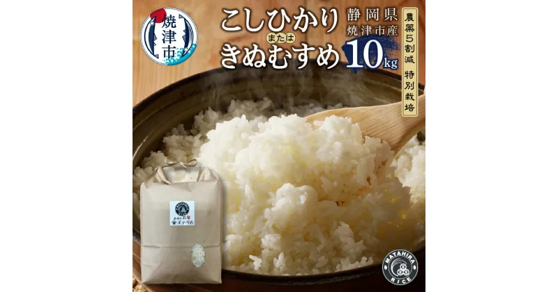 【ふるさと納税】 米 白米 コシヒカリ/きぬむすめ 10kg (5kg×2袋) 農薬5割減 特別栽培 安心 安全 こだわり 減農薬 ごはん 焼津 a29-007