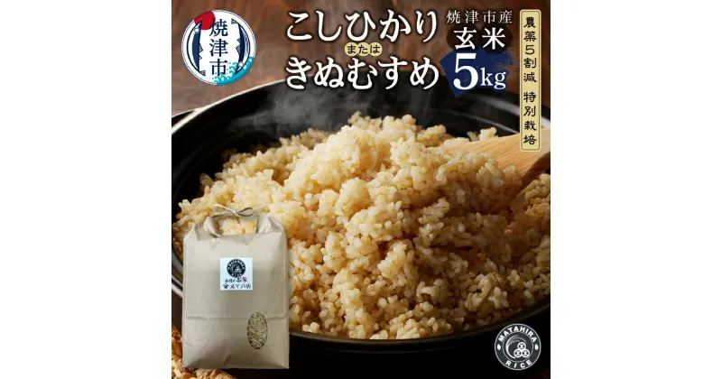 【ふるさと納税】 米 玄米 コシヒカリ/きぬむすめ 5kg 農薬5割減 特別栽培 安心 安全 こだわり 減農薬 ごはん 焼津 a16-131