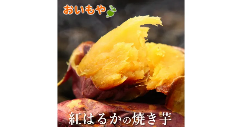 【ふるさと納税】焼き芋 やきいも おいもやの焼き芋150g×8袋セット〔 やきいも 紅はるか 人気 〕